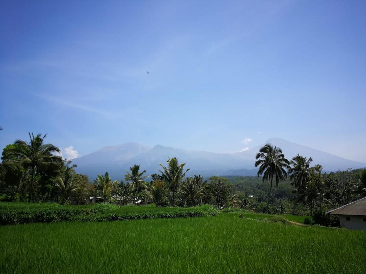 Ariata Arya Hostel Kuta  Extérieur photo